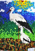 Pockľanová Michaela.jpg